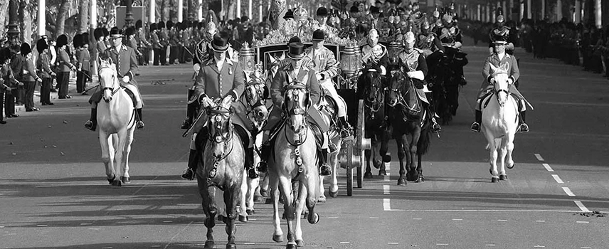 Royal Bodyguards