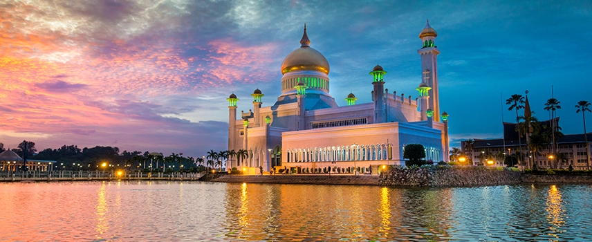 Bodyguard Services in Brunei