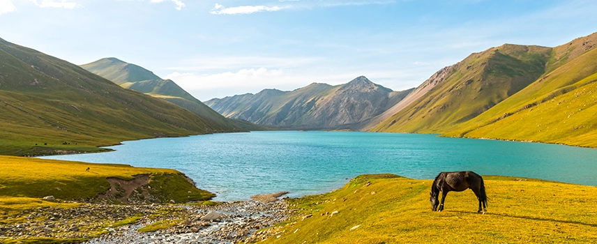 Bodyguard Services in Kyrgyzstan