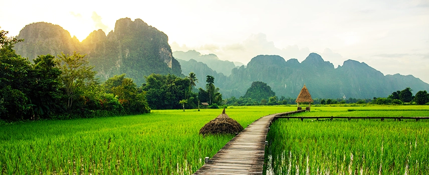 Bodyguard Services in Laos