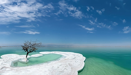 Bodyguards in The Dead Sea, Jordan