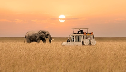 Bodyguards, the Masai Mara