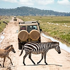 Security Services in Serengeti, Tanzania