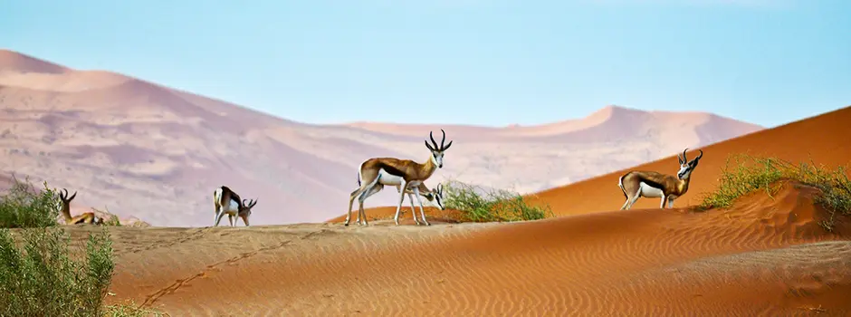 Namibia Travel Advice