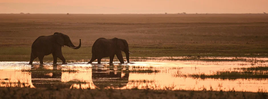 Zambia Travel Advice